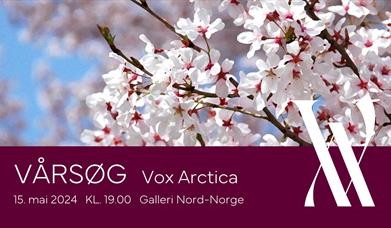 Vårsøg