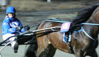 Trotting Races