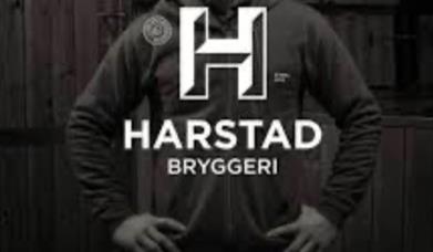 Fredagspils for Harstad 2040