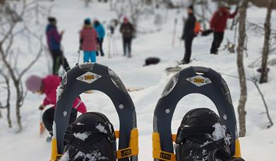 Snowshoe hike at night– Tjeldsundbrua Kro & Hotell AS