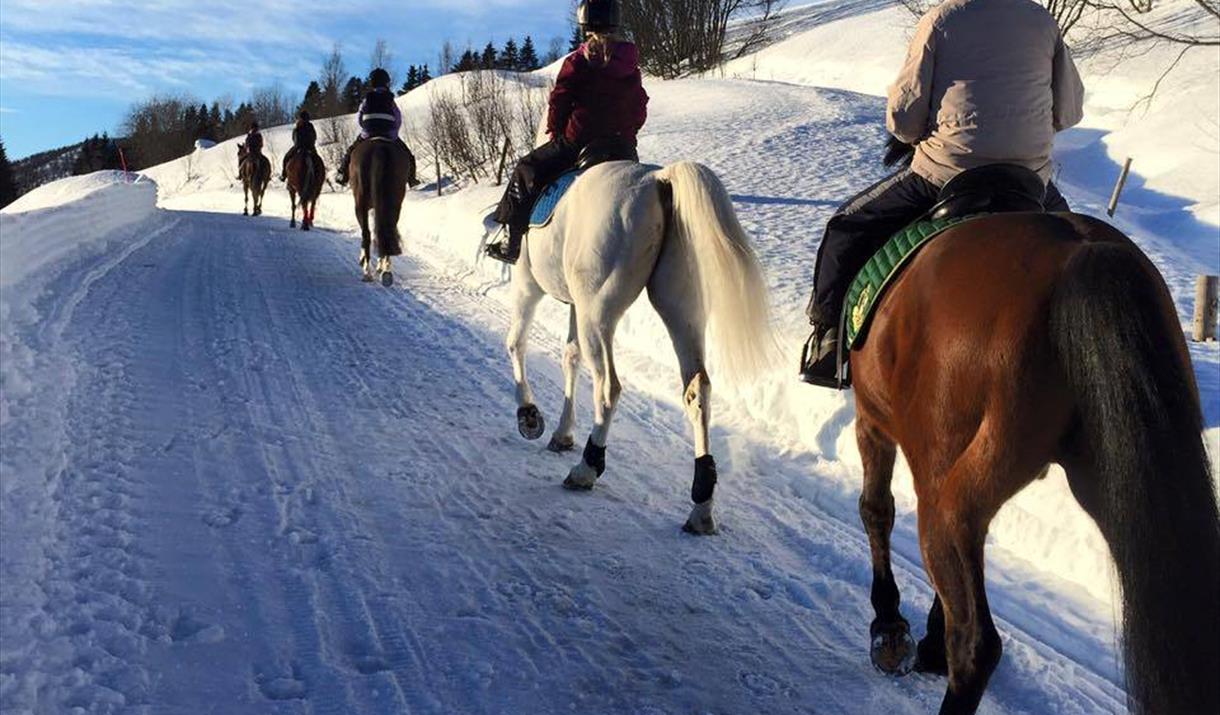 Horseback riding in Tennvassåsen