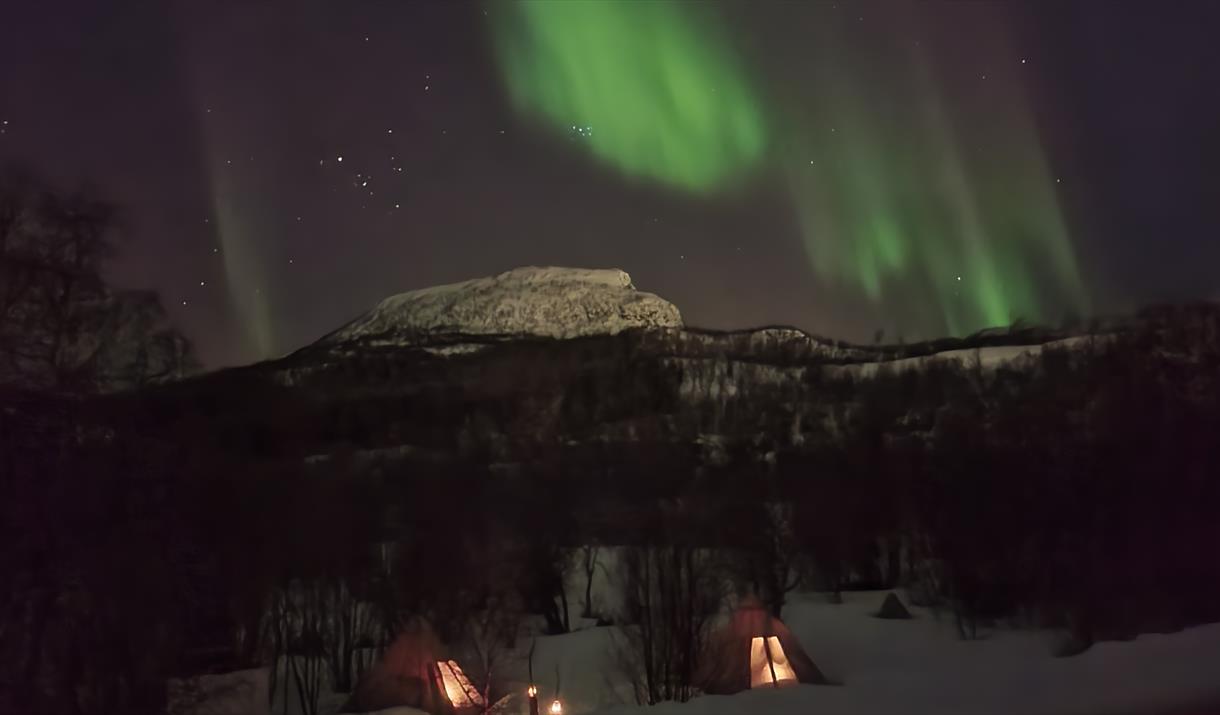 Northern Lights hunt with Explore Harstad