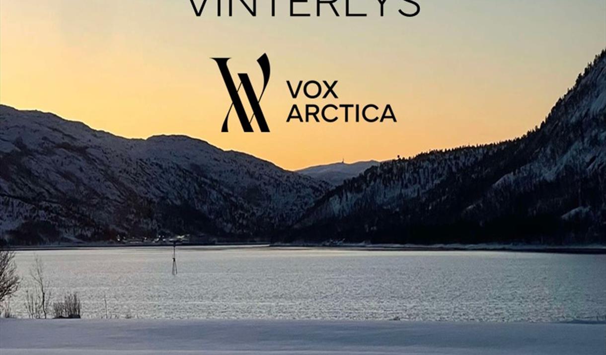 Vinterlys - Vox Arctica