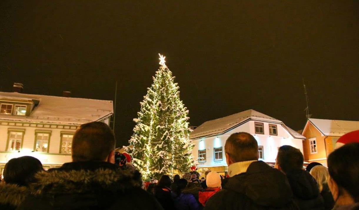 Christmas tree, Harstad