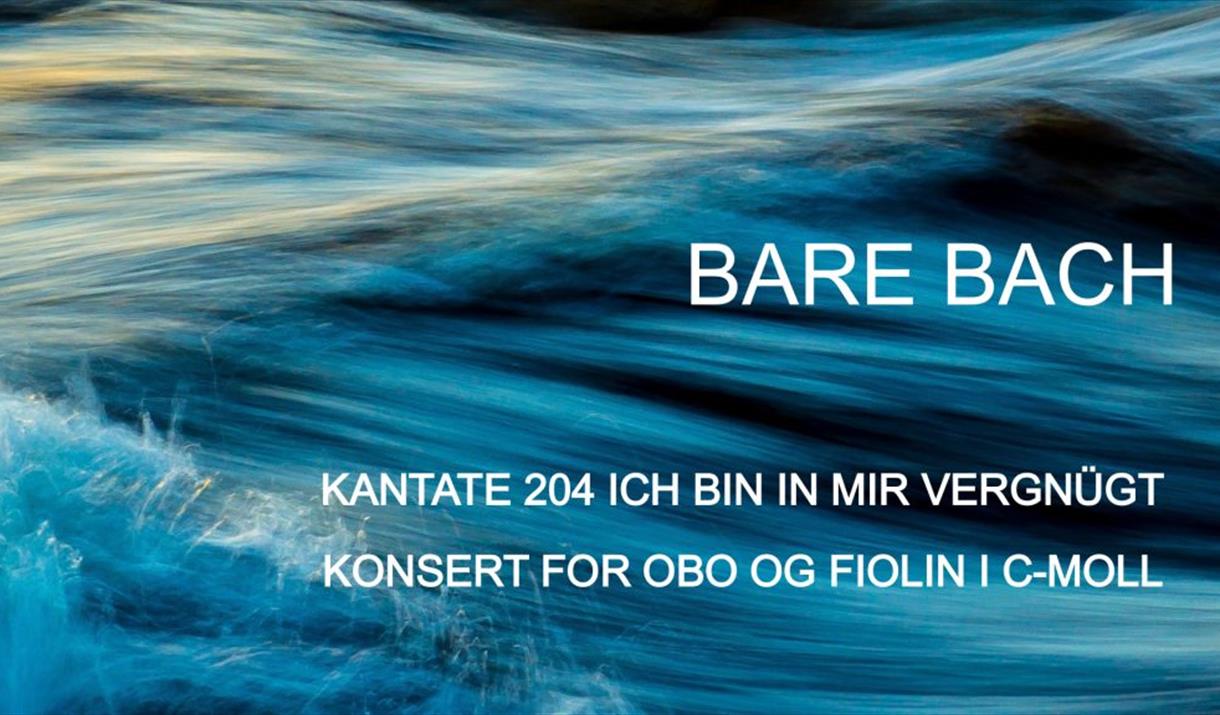 Lunsjkonsert - Bare Bach