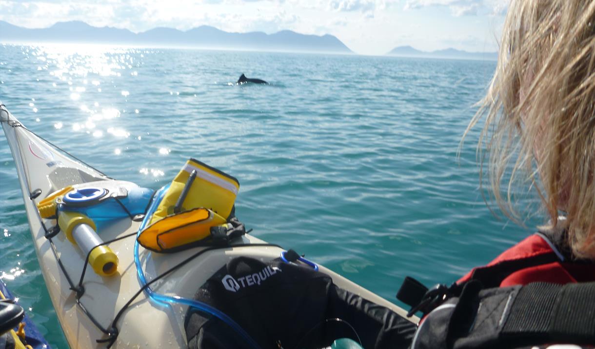 Guided kayaking in the archipelago