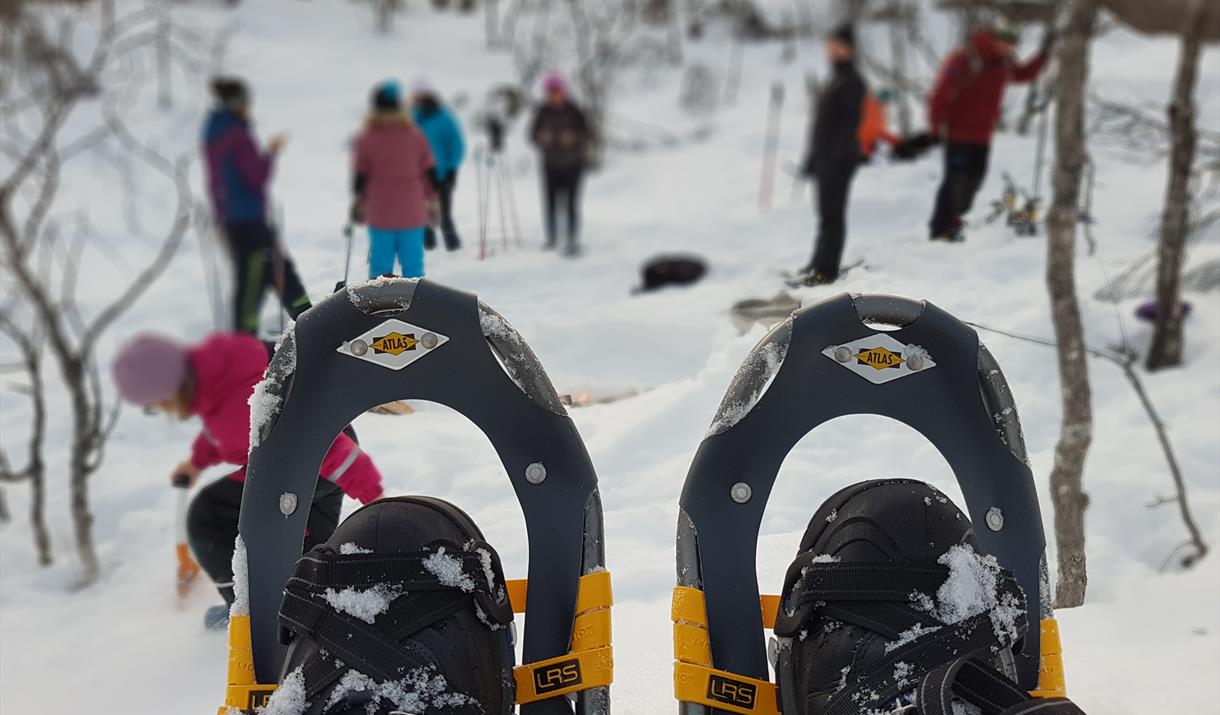 Snowshoe hike at night– Tjeldsundbrua Kro & Hotell AS