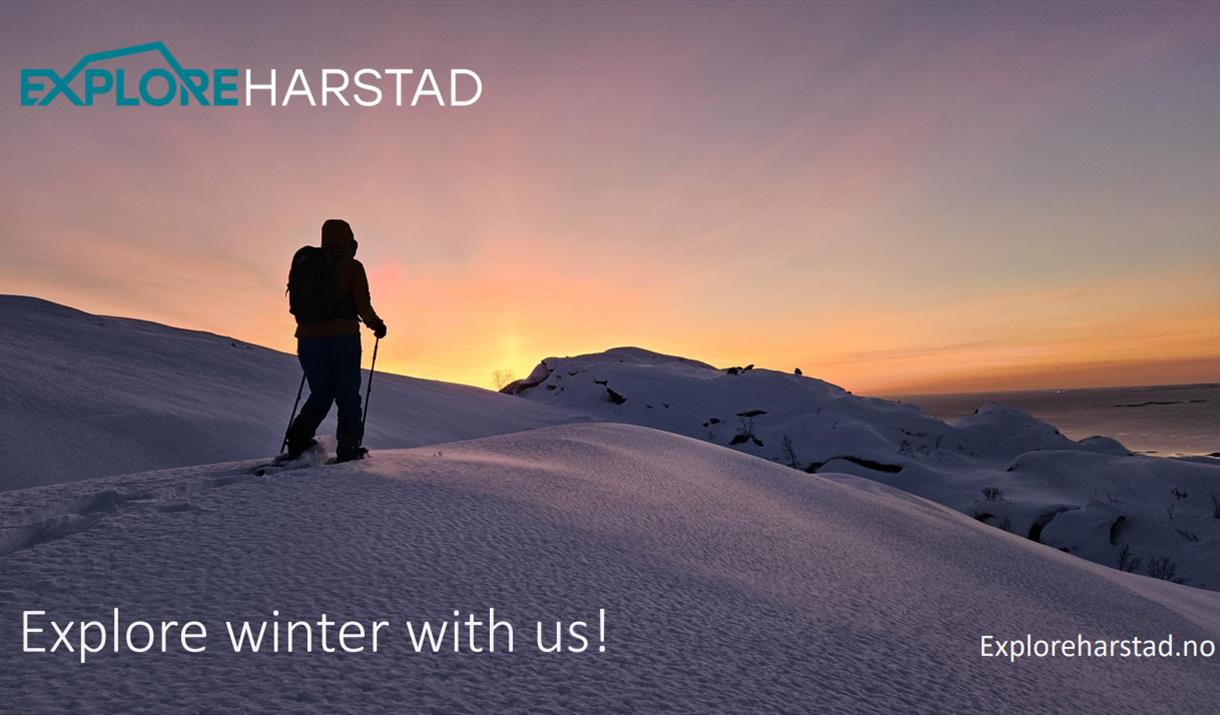 Snowshoeing with Explore Harstad