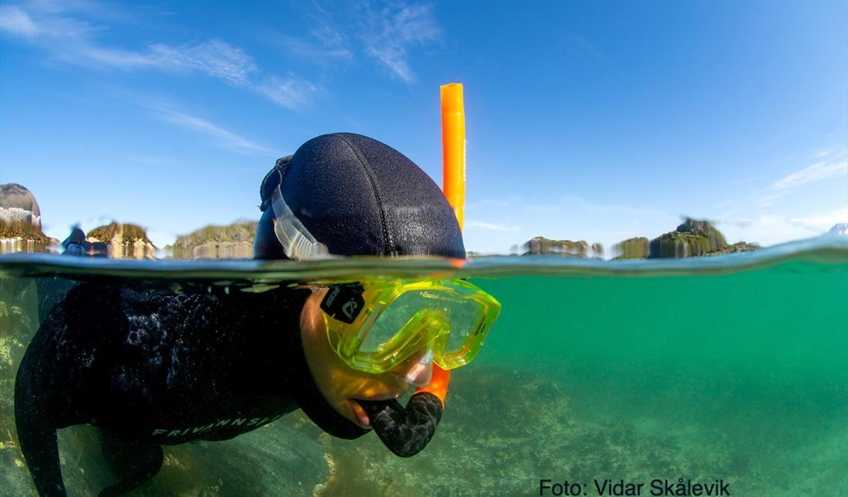 Freediving with Arctic Sea to Summits