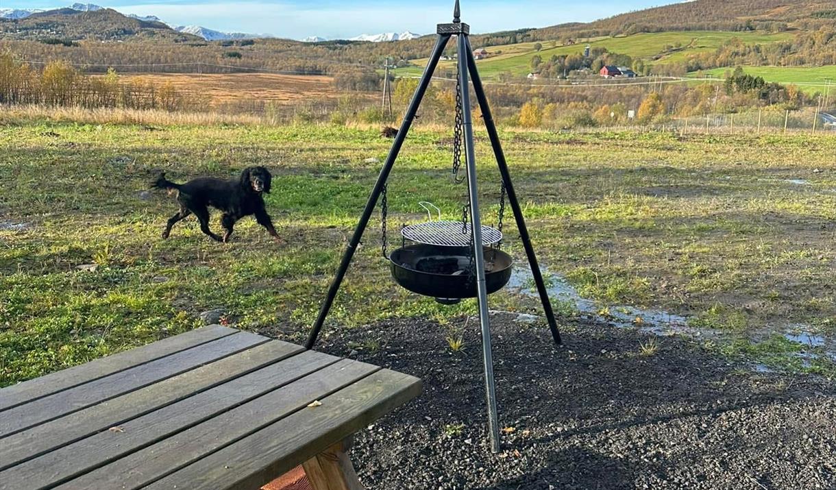 Harstad dog park