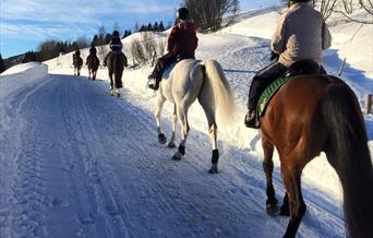 Horseback riding in Tennvassåsen