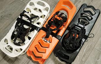 Rent snowshoes