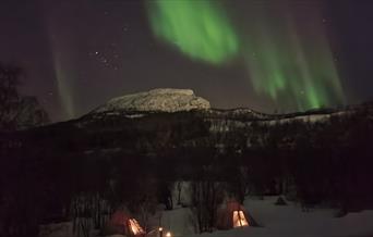 Northern Lights hunt with Explore Harstad