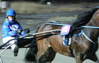 Trotting Races