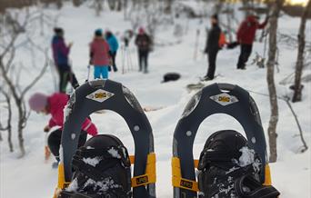 Snowshoe hike at night– Tjeldsundbrua Kro & Hotell AS