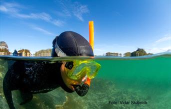 Freediving with Arctic Sea to Summits