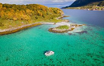 Arctic Wildlife Safari & Island Sightseeing