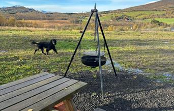 Harstad dog park