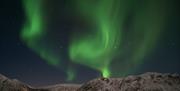 The Northern Lights on Elgsnes in Harstad, Northern Norway