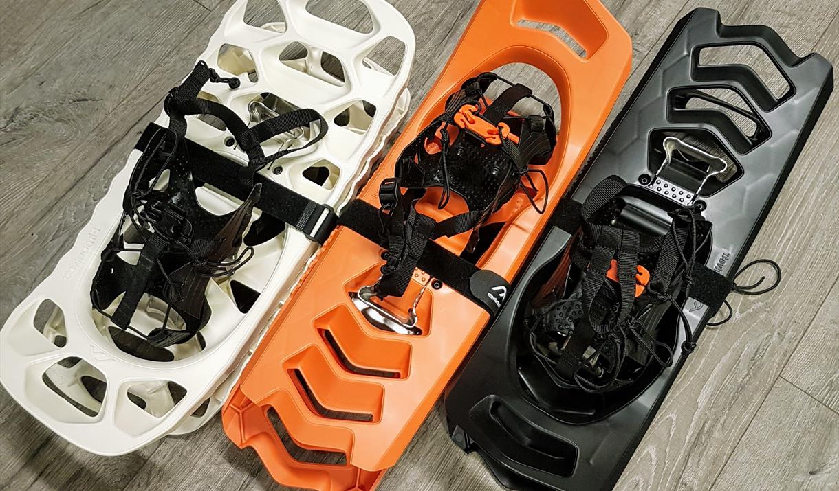 Rent snowshoes