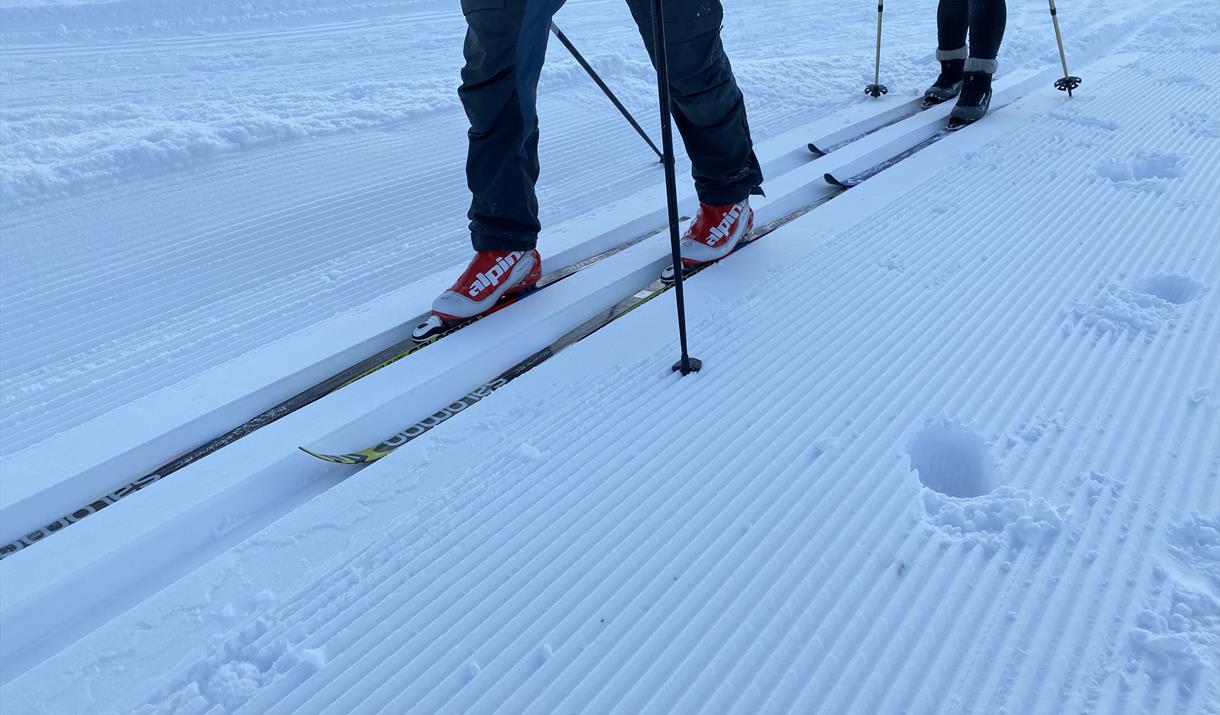 Cross-country skiing in Kvæfjordeidet