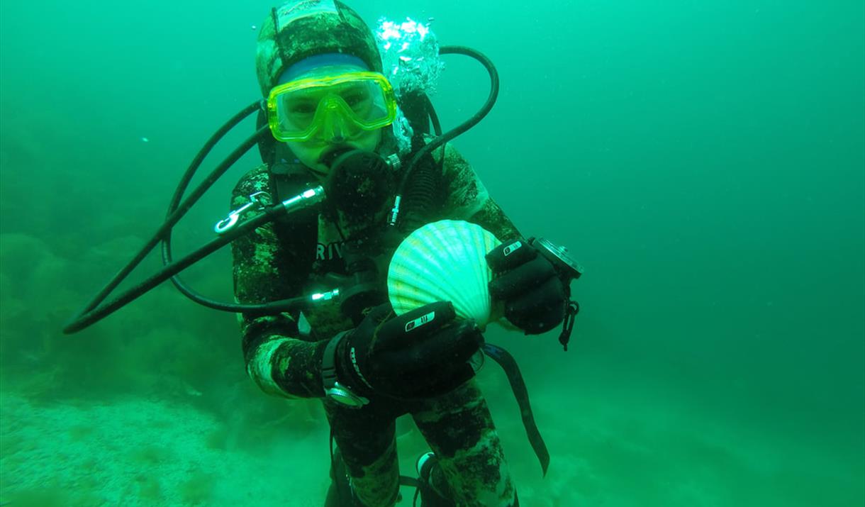Scubadiving with Arctic Sea to Summits